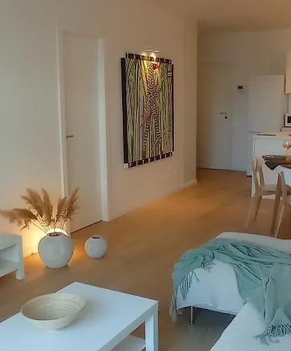 With Private Pool 아파트 스플리트